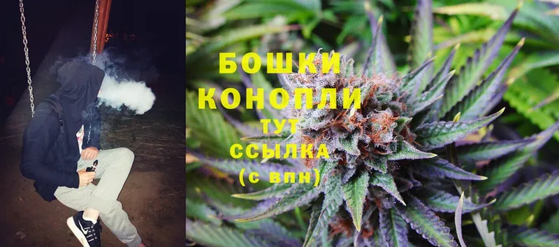 Бошки Шишки THC 21%  Буй 